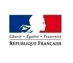 Entreprises soumises à l'impôt sur le revenu : comment opter pour l'impôt sur les sociétés ? | Le portail des ministères économiques et financiers